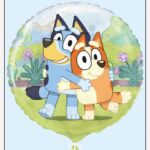 29656pkg 150x150