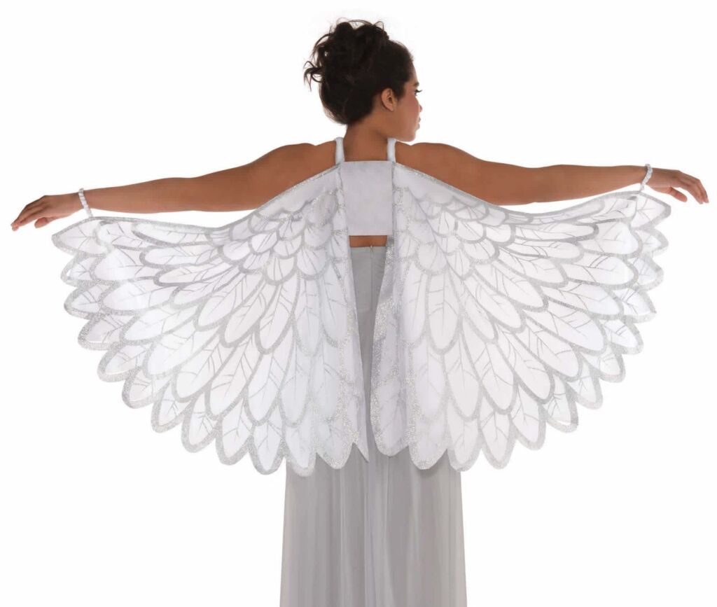 8400385 snwfntwings 1024x867