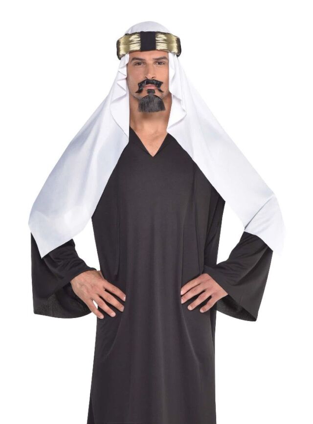 8401617 desertprince 640x868