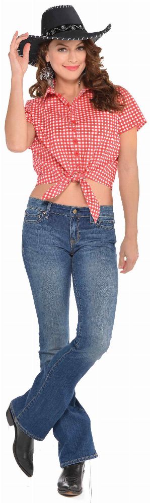 847965 gingham cusa17