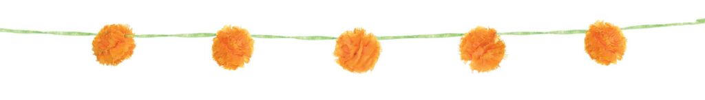 220383 hfp20 1024x146