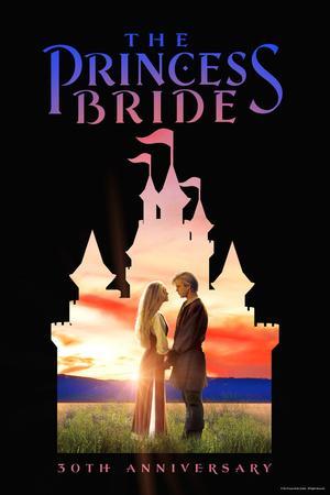 The princess bride 30th anniversary castle u l q19v4b60