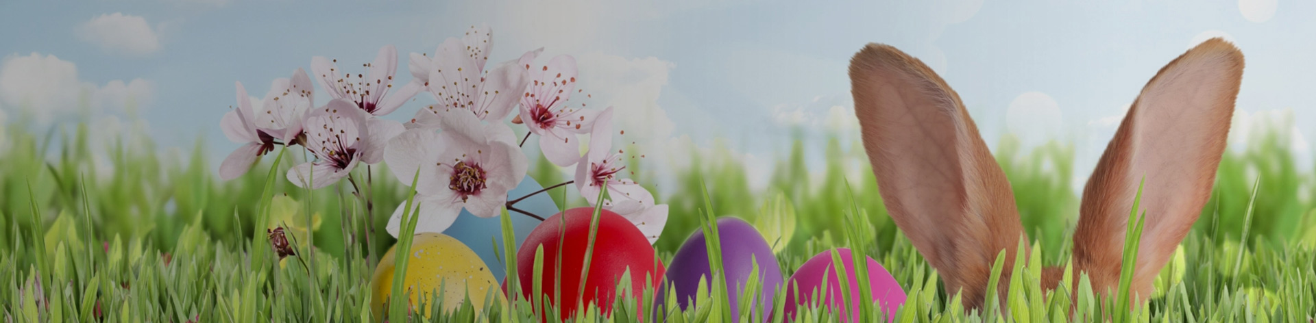 Easter party supplies