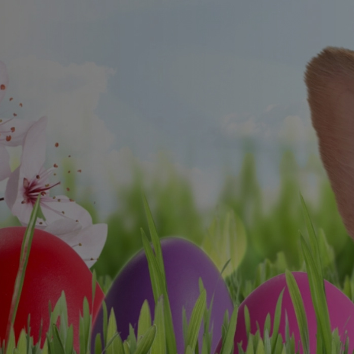 Easter party supplies