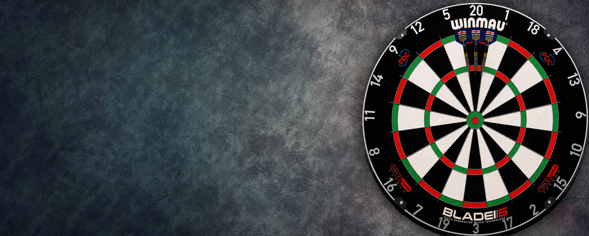 Large dartboard winmau bg